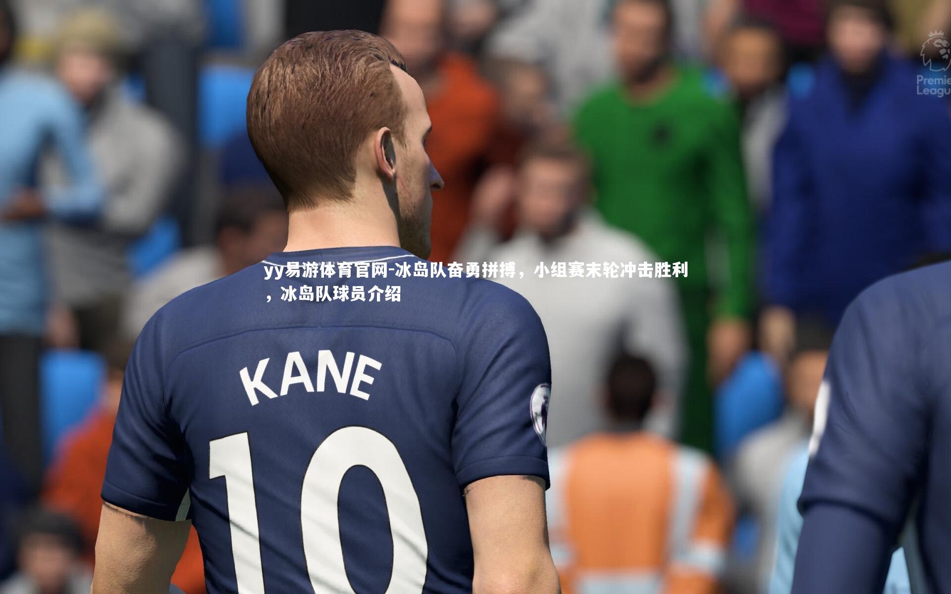 冰岛队奋勇拼搏，小组赛末轮冲击胜利，冰岛队球员介绍