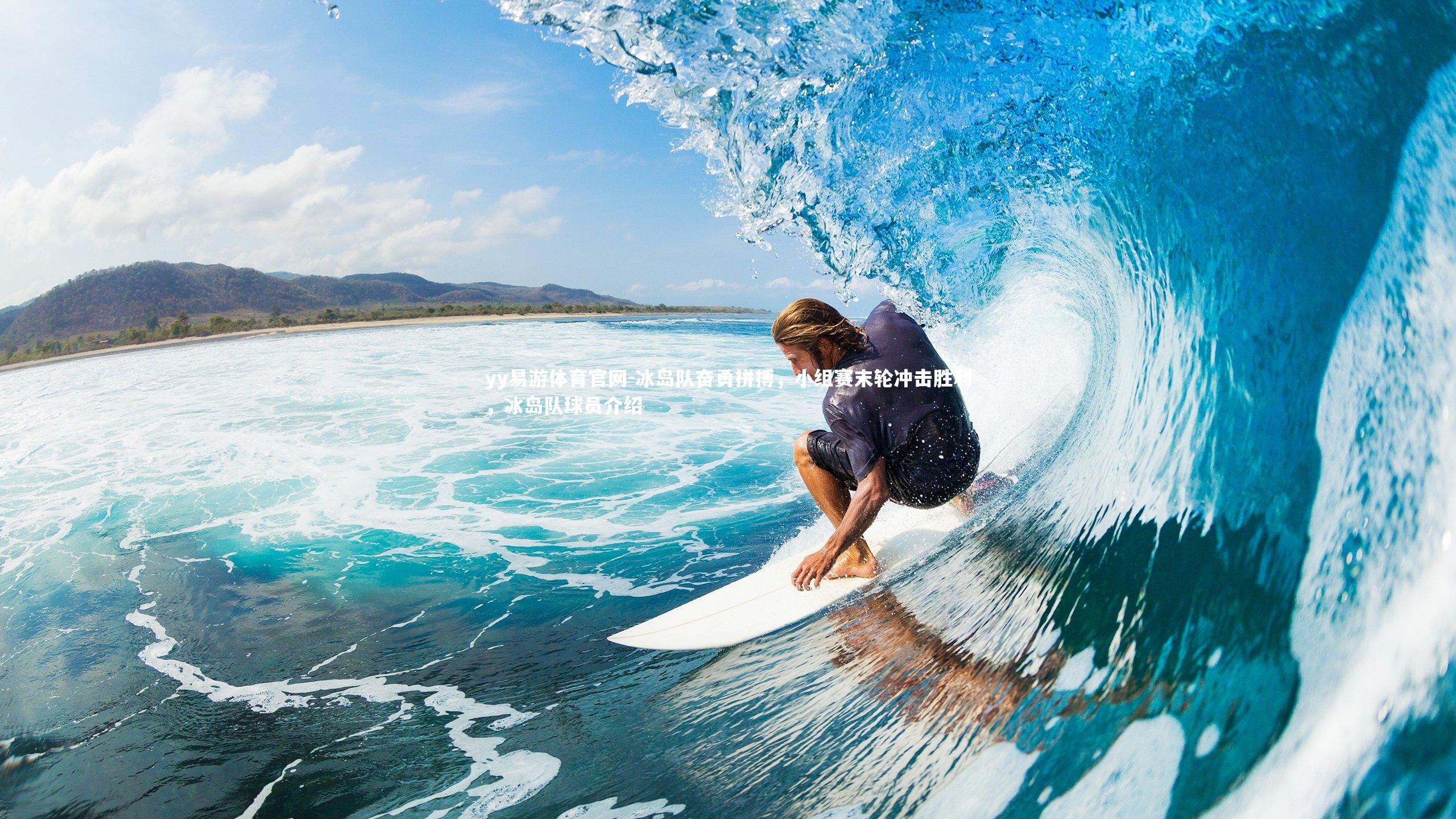 冰岛队奋勇拼搏，小组赛末轮冲击胜利，冰岛队球员介绍